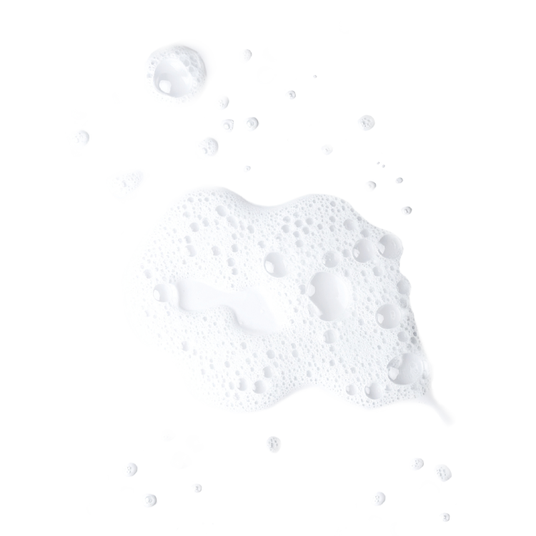 schaum